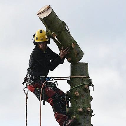 LJ_TreeSurgery's tweet photo. #arbatwork
We provide services that are affordable prices for both domestic and commercial customers.
For a FREE quote or in need of some expert advice please don't hesitate to contact us.
Call 07957487062 for all enquires or drop us an email lukejenningstreesurgery@gmail.com https://t.co/EUba3z9DyM