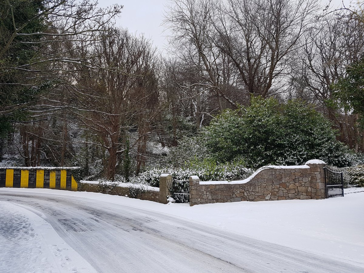 turtleback78's tweet image. Herbert road Bray@rtenews
