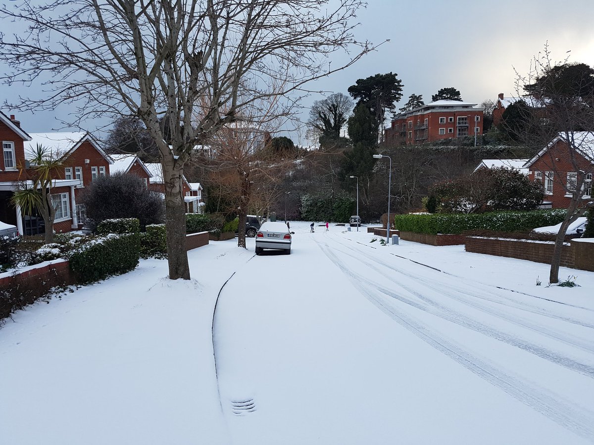 turtleback78's tweet image. Glenwood bray@rtenews