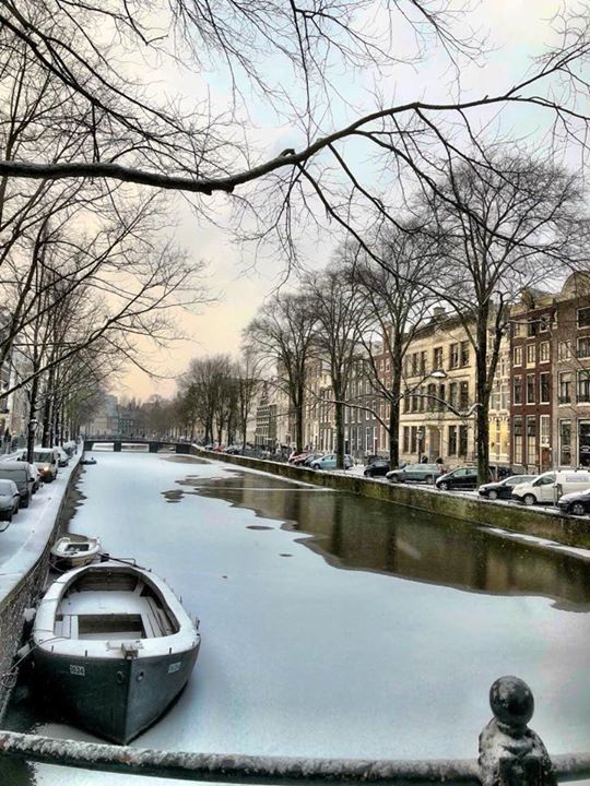 HotelEstherea's tweet photo. Winter wonderland! https://t.co/ImLxj550tI