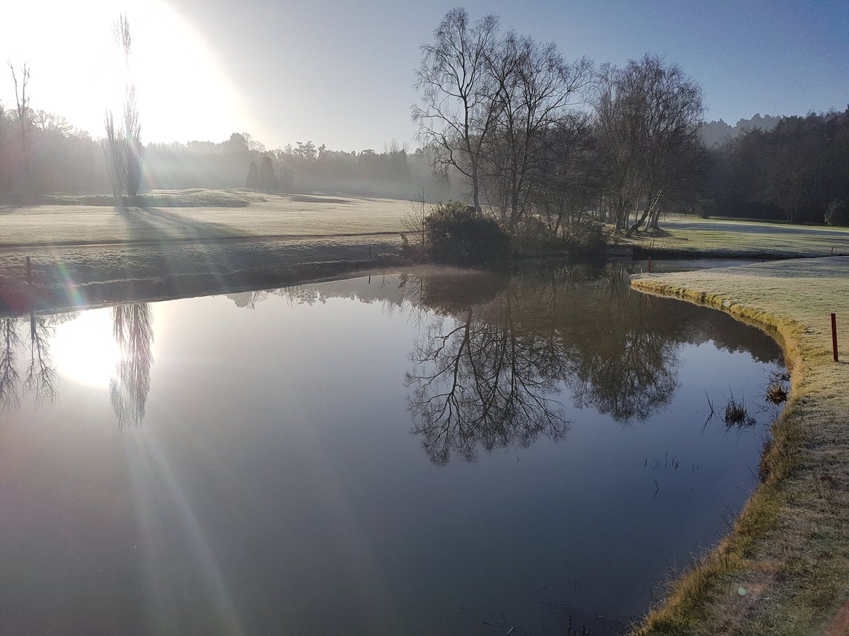 andywikki's tweet image. Fresh morning @OldThornsHotel
