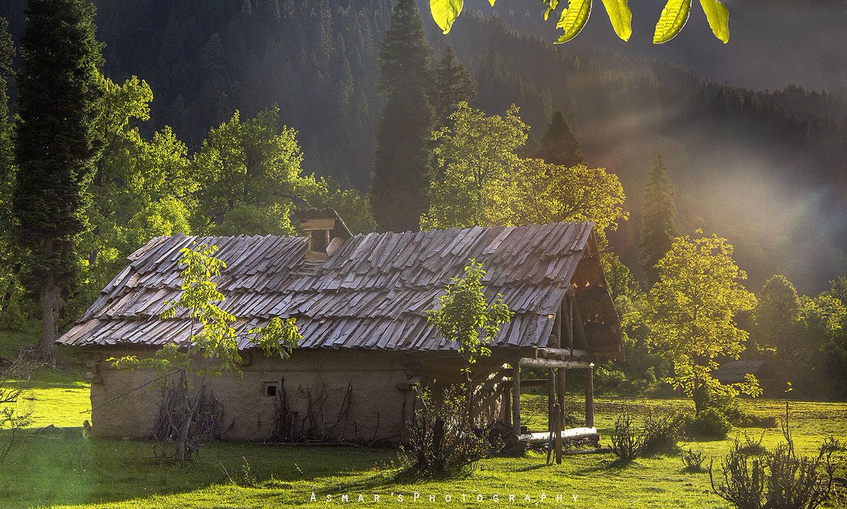 PakistanNature1's tweet photo. Arang Kel is a lush green village, hill station and tourist spot in Neelam valley. It is located on the hilltop near Kel. The village is accessible by a 2 kilometers (1.2 mi) trek from Kel. #AzadKashmir #BeautifulPakistan #MyPakistan #PakistanZindabad #LongLivePakistan https://t.co/OyxlvDjaJP