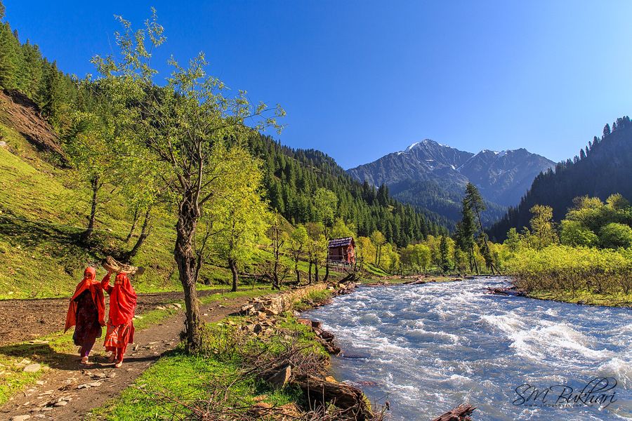 PakistanNature1's tweet photo. Arang Kel is a lush green village, hill station and tourist spot in Neelam valley. It is located on the hilltop near Kel. The village is accessible by a 2 kilometers (1.2 mi) trek from Kel. #AzadKashmir #BeautifulPakistan #MyPakistan #PakistanZindabad #LongLivePakistan https://t.co/OyxlvDjaJP