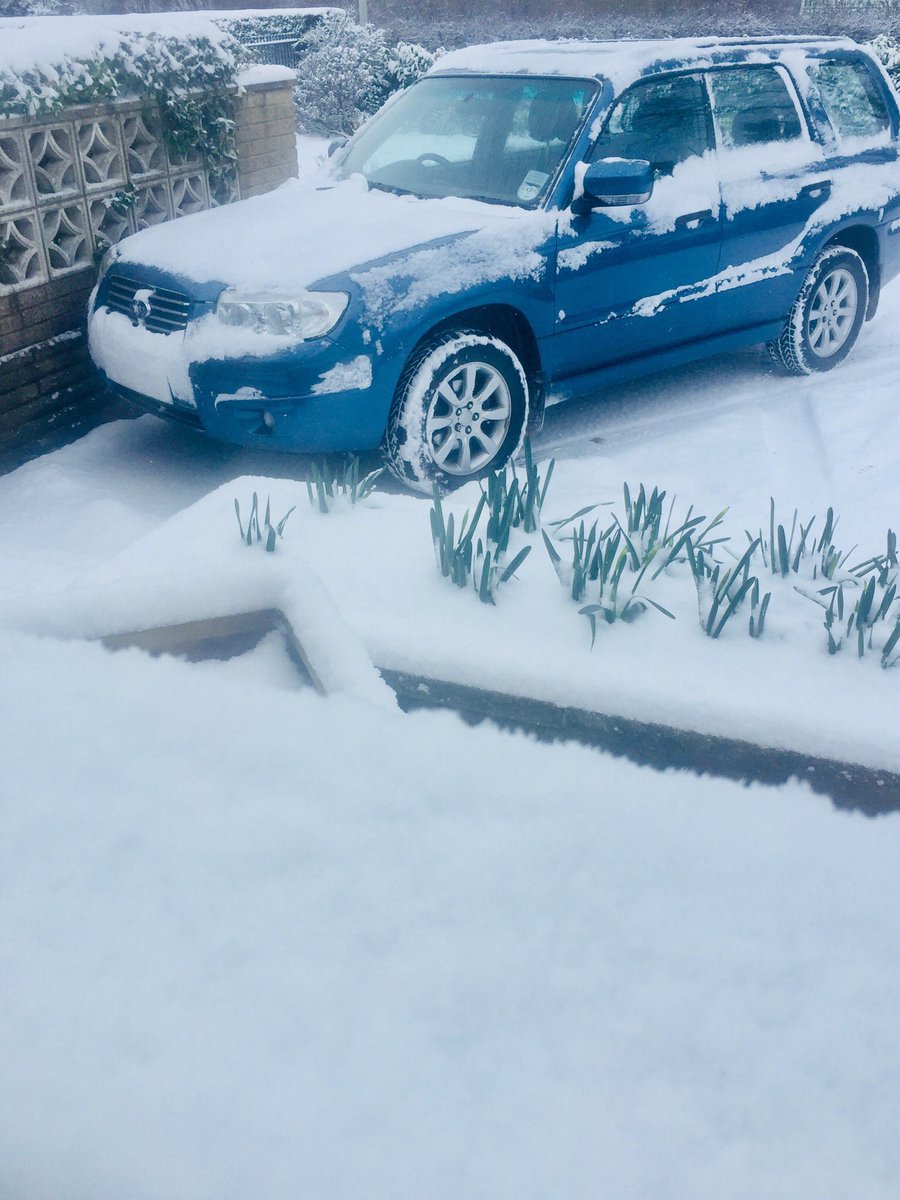 <a href="/subaruuk/">Subaru UK</a> <a href="/SubaruUKPR/">Subaru UK PR</a> I wouldn’t swap this 11 year old for anything else today #SUBARU #Forester #AWD