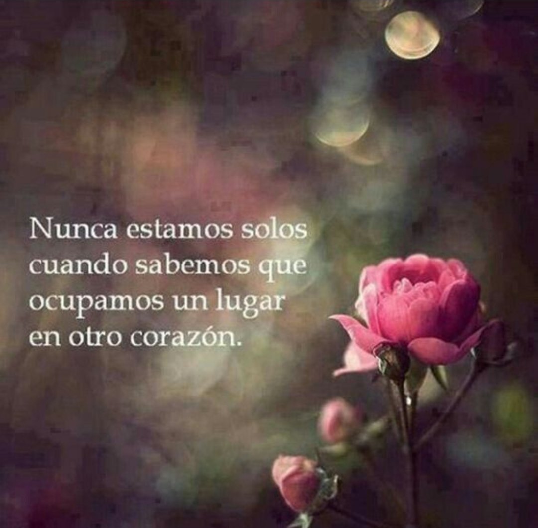 Nunca estamos solos cuando sabemos que ocupamos un lugar en otro corazón. #MiércolesChachi28Feb  Feliz miércoles dulzuras 💕 Miles de sonrisas 😘😘😘