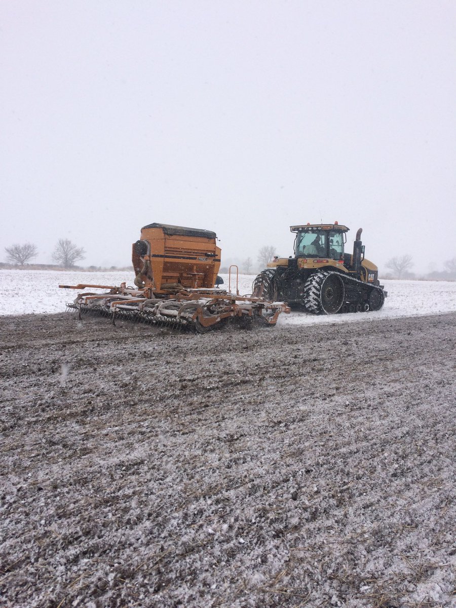 FarmerCalmer's tweet image. Winter beans or Spring beans? #crackon#farm365