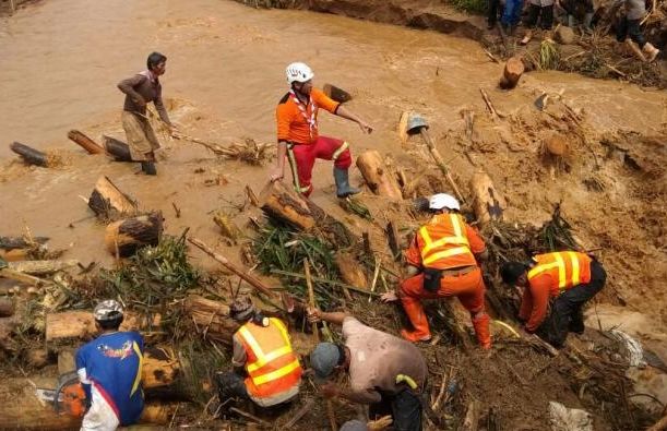 World Scouting tweet media