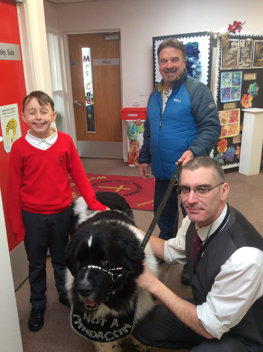 StPaulsCEWigan's tweet photo. Monty is being visited by all the classes in school today, he is most certainly not a Pandacow, he is however beautifully behaved and the children are asking his author some lovely questions about his book. #LifelongLoveOfBooks https://t.co/1iXwAJu42P