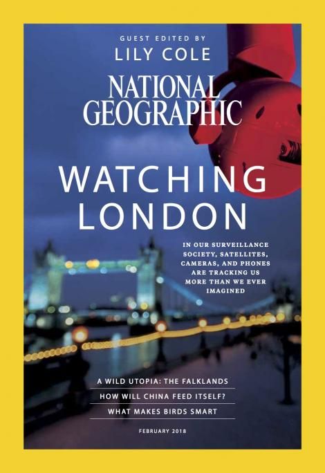 Impossible tweet media