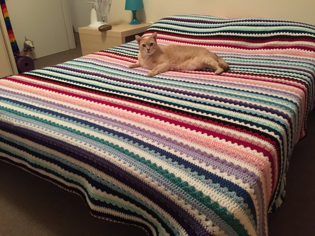fortesomniare's tweet photo. I made a blanket. #crochet #catapproved #twomonthswork #chuffed https://t.co/JCas8HZ6Dm