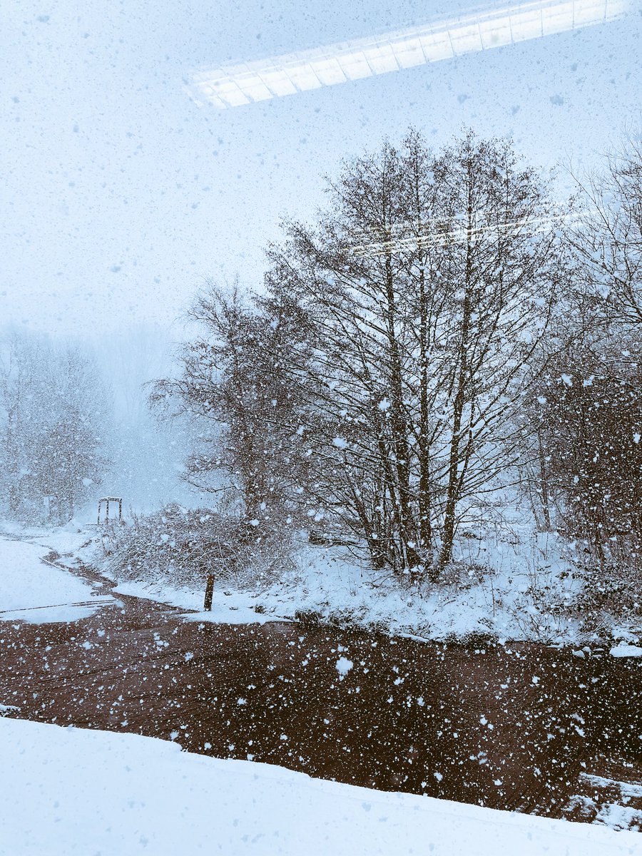 The view from the office today. Very pretty, but not fun on the roads! Be careful out there!