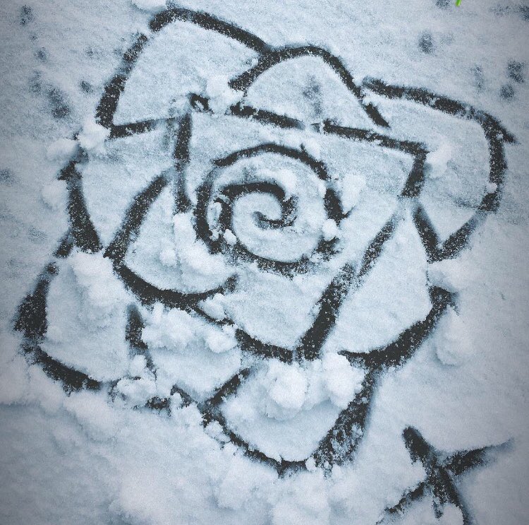 Victoria Walker tweet media