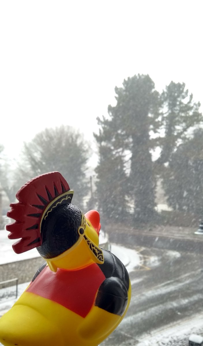 stalbansmuseums's tweet photo. #VerDuck is surveying the #SnowSituation (safely from the warm indoors)... He advises caution in the car park and approach road to the museum. The main St Michael's Street is gritted.
#StAlbans https://t.co/gqgfanDJ8B
