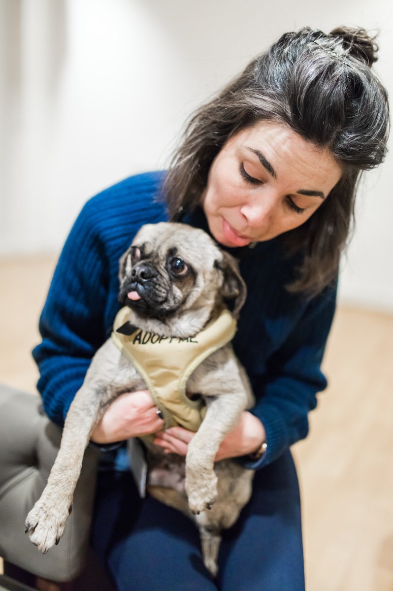 UAL_well's tweet photo. Event recap: Yesterdays Puppies and Lunch event was great! Lots of @UAL students were there, alongside blood pressure testing, massages, @PAPYRUS_tweets and The Listening Place. Lots of positivity and puppy hugs... #UniversityMentalHealthDay https://t.co/GqlaMUDnZP
