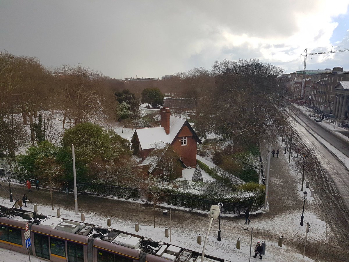 turtleback78's tweet image. Stephens green @rtenews