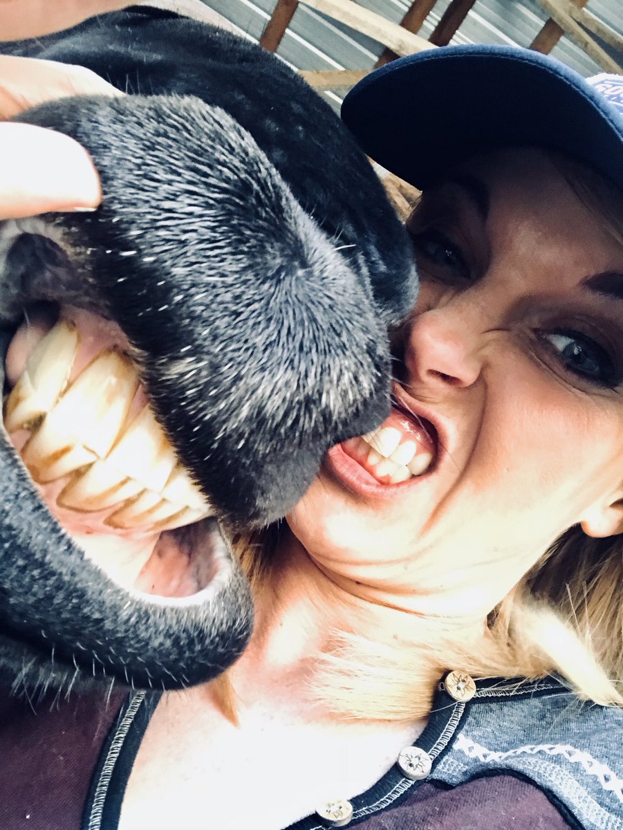 JuliaDunnWRGB1's tweet photo. Hosting around with #MurphQuake #thoseteeththo #bored #babe https://t.co/Eh6oduqLTz