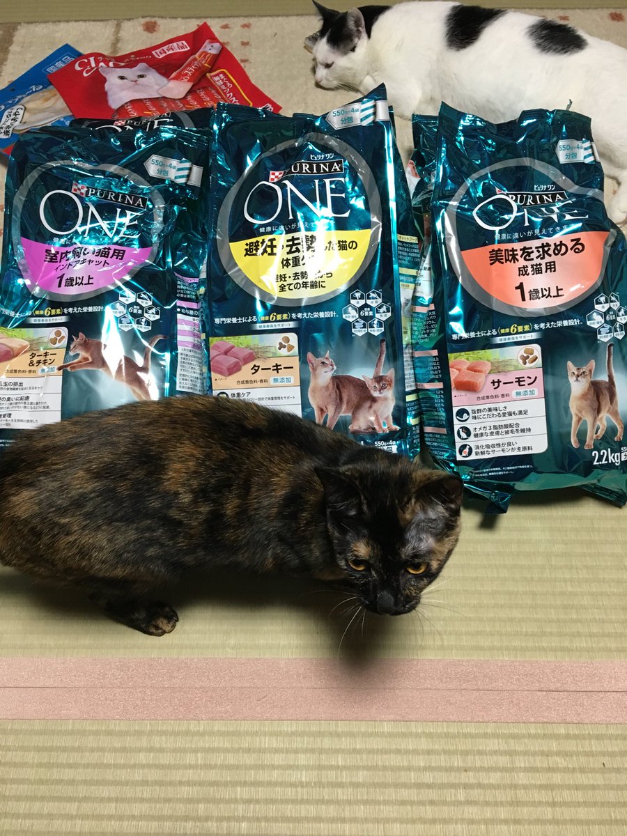 コーナン江東深川店 Twitter Search