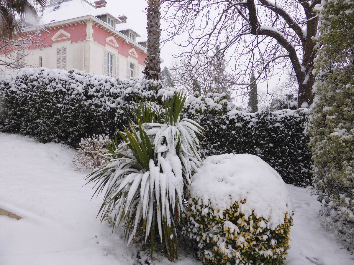 DomainedeBassi's tweet image. Pourquoi hésiter entre la montagne et le Pays Basque 😉😁❄️☃️ 
facebook.com/hoteldomainede… 
#bidart #bassilour #hotel #neige #hiver #snow #winter #paysbasque #cotebasque #enmodebasque #bidartpaysbasque #vacances #weekend