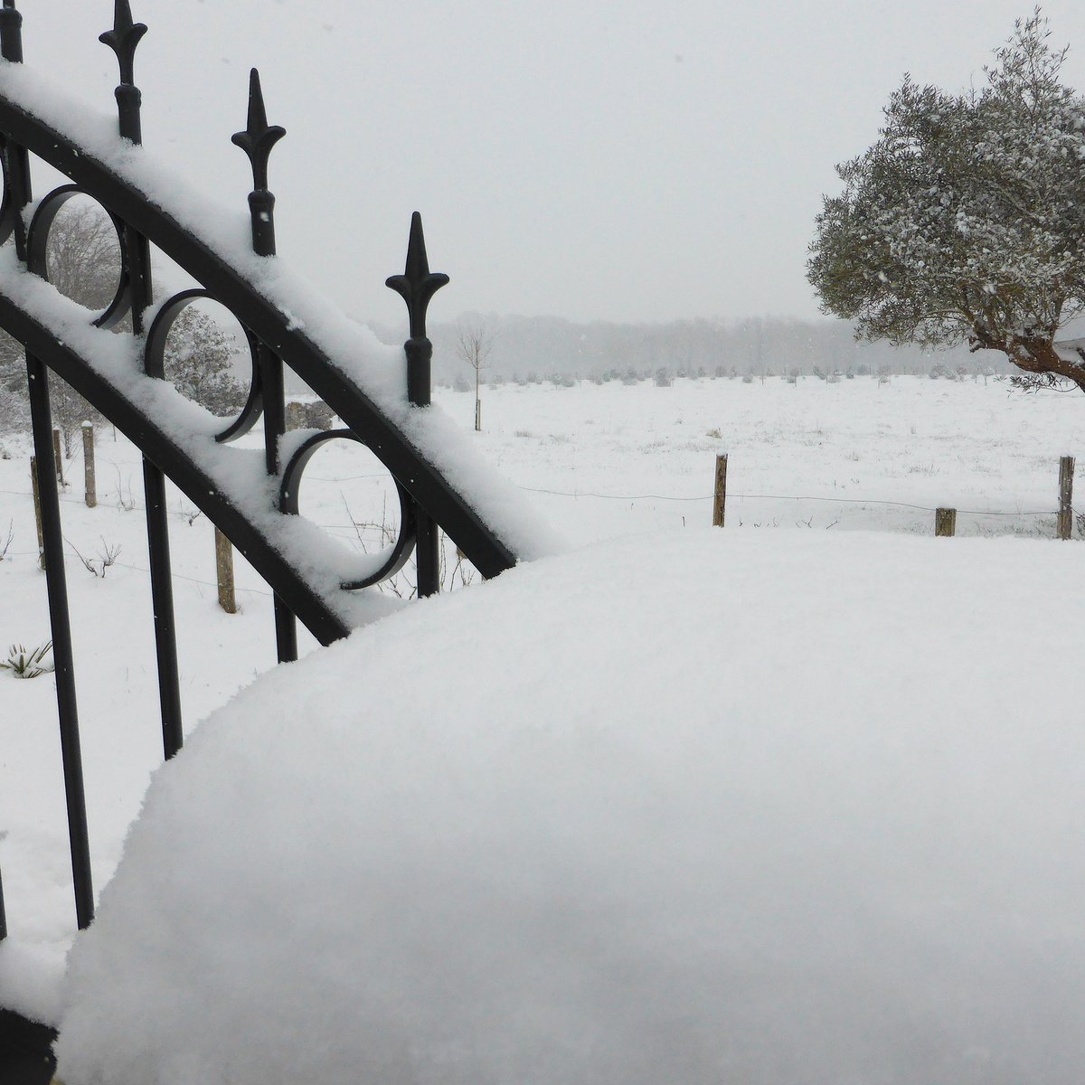 DomainedeBassi's tweet image. Pourquoi hésiter entre la montagne et le Pays Basque 😉😁❄️☃️ 
facebook.com/hoteldomainede… 
#bidart #bassilour #hotel #neige #hiver #snow #winter #paysbasque #cotebasque #enmodebasque #bidartpaysbasque #vacances #weekend