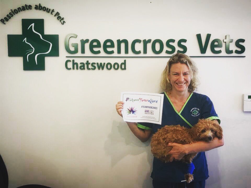 TeamPHBe's tweet photo. Today is #RareDiseaseDay, a day to create awareness for #rarediseases like #pulmonaryhypertension. Rider Sarah, who is veterinary surgeon in everyday life, treats animals with the disease. #ShowYourCare #TeamPHAbCares #phathlete #teamphab #roadtoRAAM2018 #RAAM2018 #SarahTeamPHab https://t.co/2lTJWBqnTG