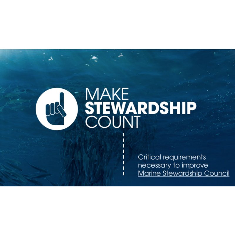 BornFreeFDN's tweet photo. .@BornFreeFDN has joined 70+ marine, fisheries, and species orgs and experts from around the world calling for critical improvements to the @MSCecolabel. To find our more, visit: https://t.co/lr29YDkXdN #MakeStewardshipCount
#fisheries #sustainableseafood #reducebycatch https://t.co/XeJuPJewQw