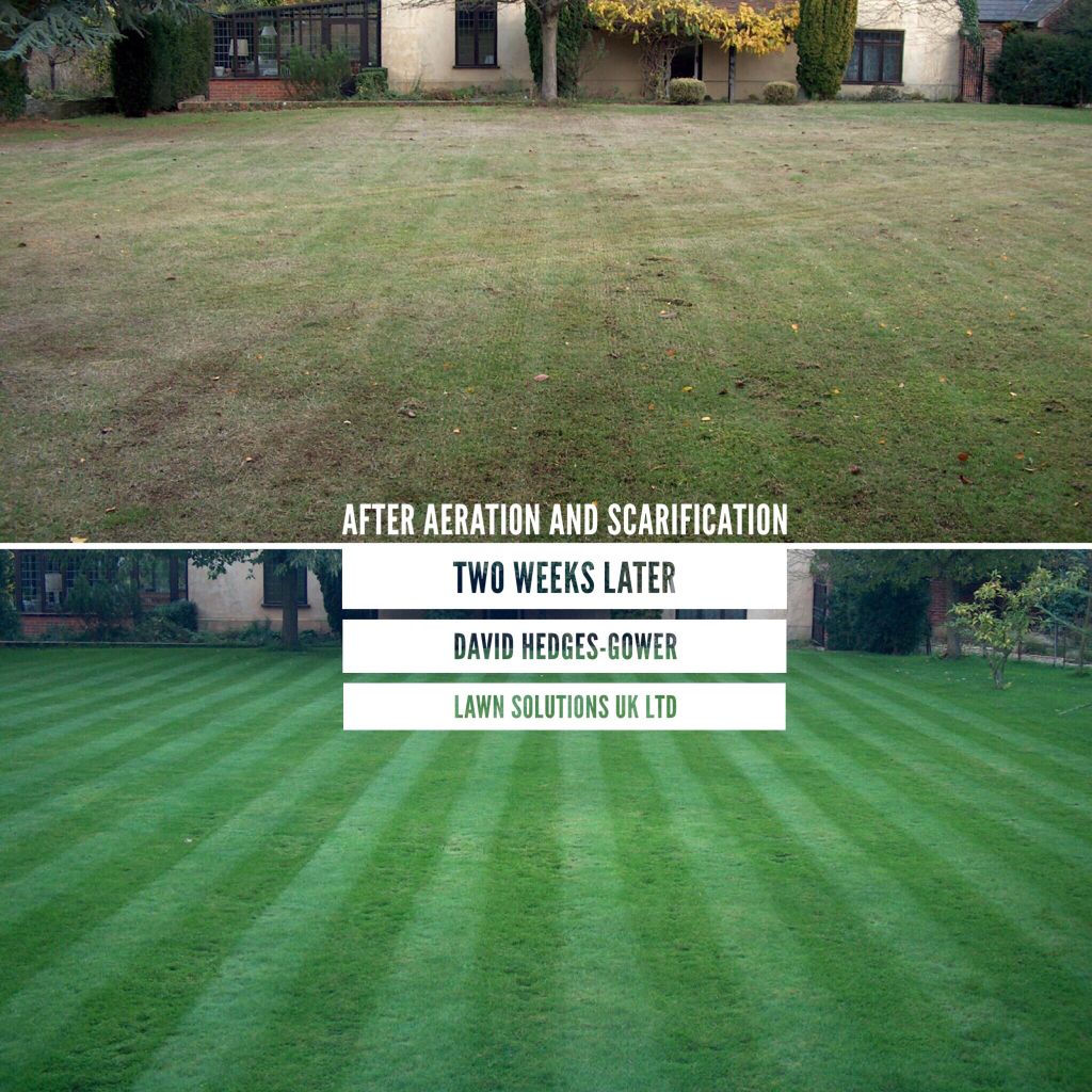 modernlawncare_'s tweet image. Patience &amp;amp; faith are essential when #aerating your #Lawn. You will not see immediate results but good things WILL be happening. Increasing air circulation, bacteria &amp;amp; microbes will be multiplying and #grass will be growing healthy root system! Poor #aeration=unhealthy lawn