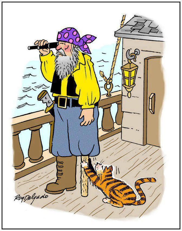 purringtonpost's tweet image. Why cats were banned from pirate ships! #cats