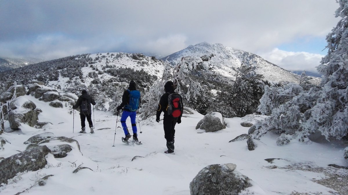 ViajamosJunto's tweet photo. ⚡¡Atención! ⚡ Todos los amantes de la montaña y la nieve, tenemos un nuevo post en el blog que os va a encantar: 3 rutas de #senderismo para disfrutar de la #nieve cerca de #Madrid ¡Enjoy!
Mención especial @Viajaporlibre y @dondetemetes 😉⛄❄🗻

https://t.co/GhUZJuno05 https://t.co/bN0xcwkKhJ