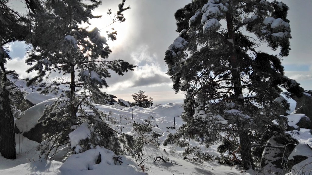 ViajamosJunto's tweet photo. ⚡¡Atención! ⚡ Todos los amantes de la montaña y la nieve, tenemos un nuevo post en el blog que os va a encantar: 3 rutas de #senderismo para disfrutar de la #nieve cerca de #Madrid ¡Enjoy!
Mención especial @Viajaporlibre y @dondetemetes 😉⛄❄🗻

https://t.co/GhUZJuno05 https://t.co/bN0xcwkKhJ