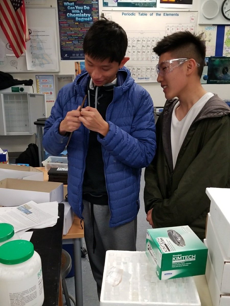 CYPchem's tweet photo. How much copper is in a penny? https://t.co/bWnMwtbpWY