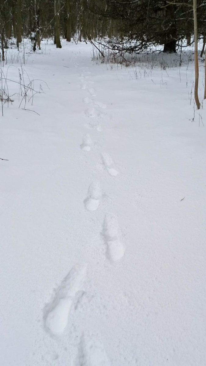 Rising Sun Cafe (@risingsuncafe1) on Twitter photo 