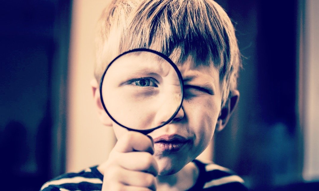 Flip Media Group tweet media