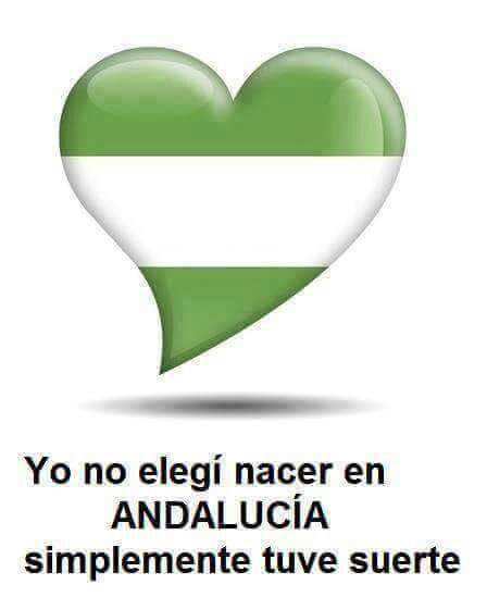 Desde Carnicerias Valdivia os deseamos un #FelizDíadeAndalucia, porque ser de esta tierra un el mejor de los regalos.