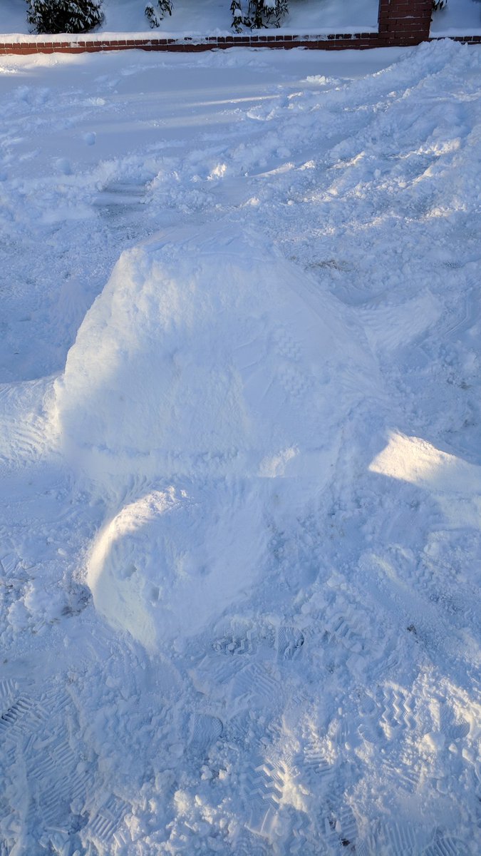 GHIL_ExtSchools's tweet photo. Making our amazing snow turtle during After School Club! https://t.co/jVjPe0Y0Ya