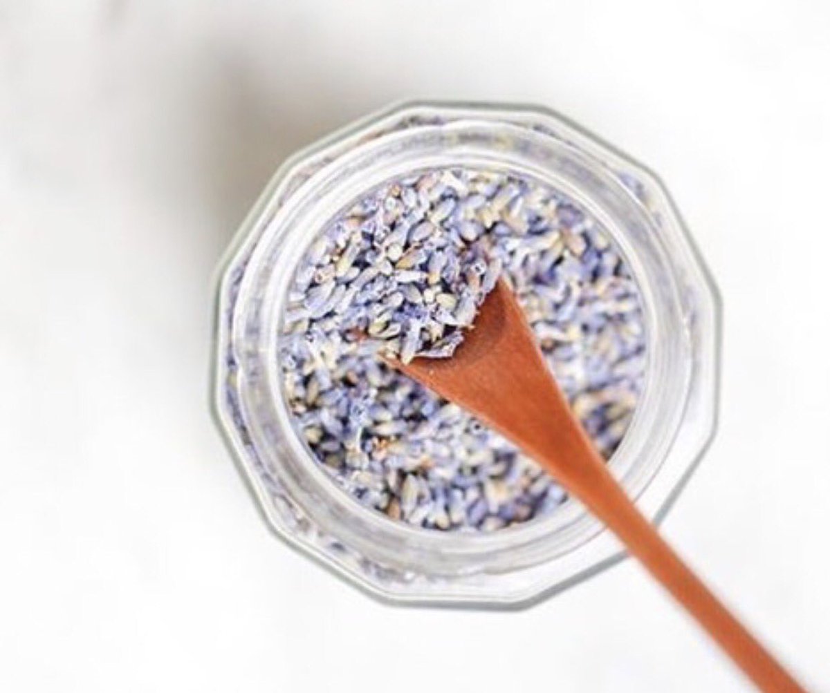 Lavender vibes, all day, everyday 💜📷 <a href="/littlegreendot/">Alachia</a>