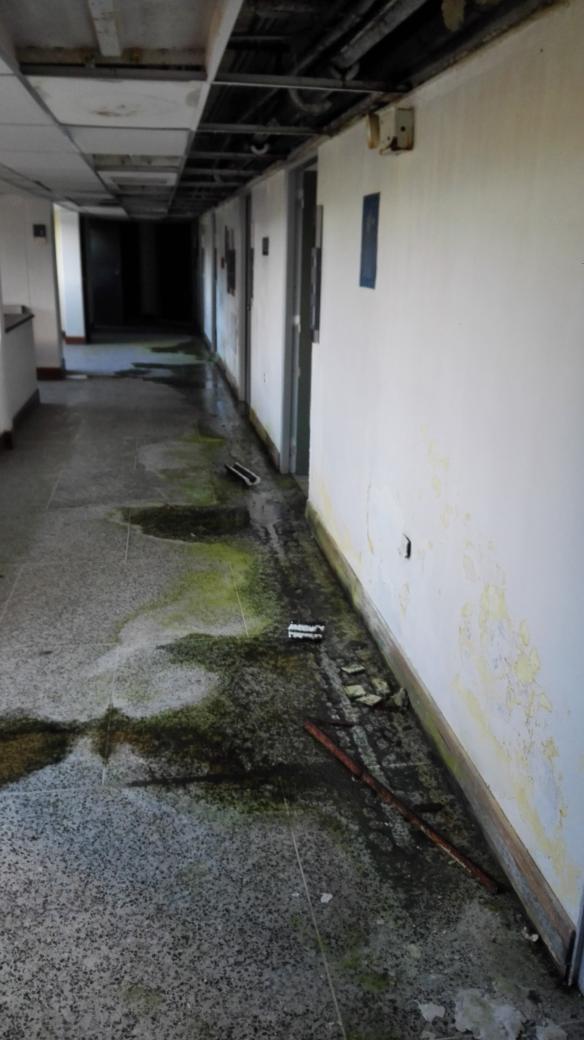 AlfonsocaroVe's tweet photo. Via @brucknerillo ¿Escenarios para una película de horror? Creo que servirían, pero en realidad son imágenes del Hospital "Manuel Antonio Narvaez Silva" (antes Clínica Popular #NuevaEsparta) situada en La Asunción, Isla de Margarita #Venezuela @ONU_es https://t.co/mqLUm7lC5j
