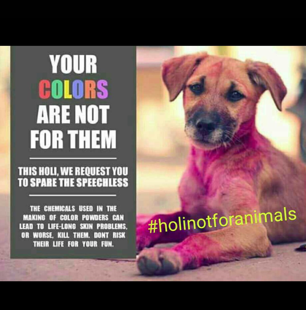 #holinotforanimals #saveanimals #happyholi #playsafeholi #colorsnotforanimals #dontusecolorsonanimals