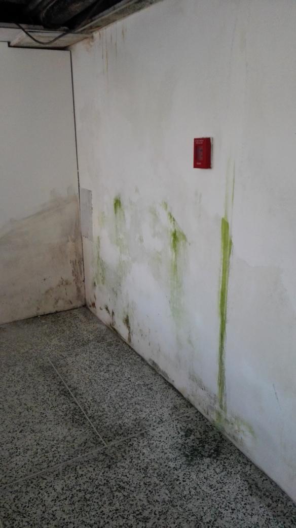 AlfonsocaroVe's tweet photo. Via @brucknerillo ¿Escenarios para una película de horror? Creo que servirían, pero en realidad son imágenes del Hospital "Manuel Antonio Narvaez Silva" (antes Clínica Popular #NuevaEsparta) situada en La Asunción, Isla de Margarita #Venezuela @ONU_es https://t.co/mqLUm7lC5j