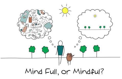 mellamoluca's tweet photo. Mi mamá dice que así ustedes humanos y así nosotros perritos. @Mindfulkidsmx #CalmenSuMente #Mindfulness https://t.co/dm7Lr2WUqW
