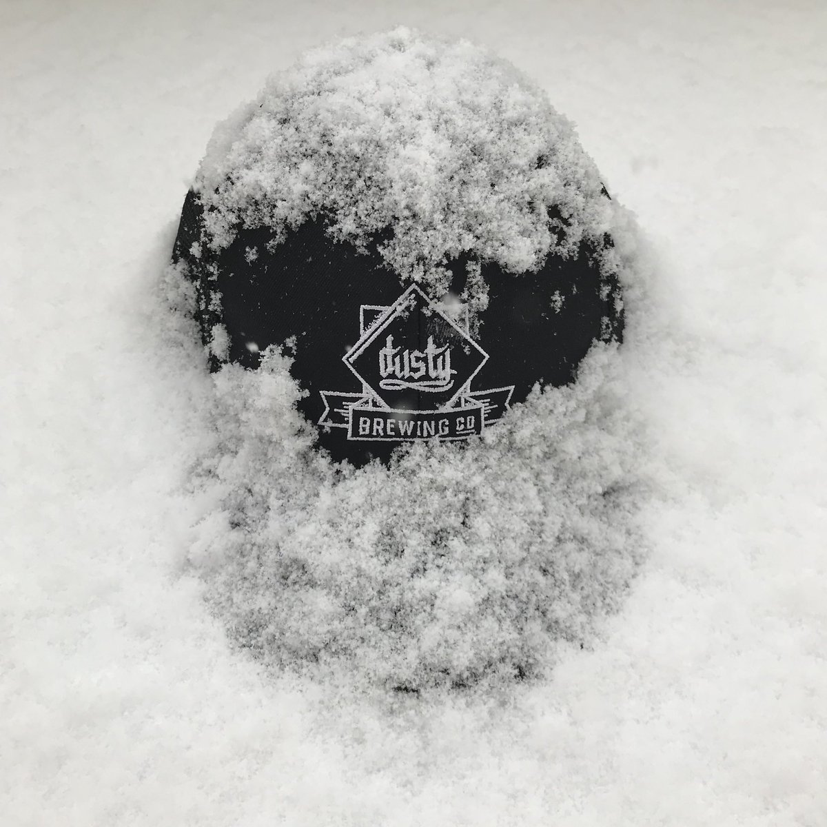dustybrewco's tweet photo. A cold morning dusting from the Beast from the East calls for a warming Dusty Porter made with roasted malts, hops and yeast #dusty #brewing #beer #craftbeer #porter #dustybrewingco #beastfromtheeast https://t.co/AiYr5dKrak