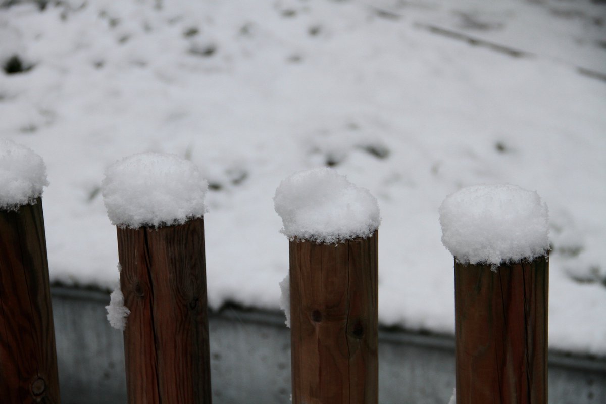 kimalmirall's tweet photo. 🌨️ Així s'ha aixecat Sabadell de blanca ☃️ 

#NeuCatRàdio #NEUCAT #Sabadell #NeuRS 
📷 @kimalmirall https://t.co/dicCy2cvLr