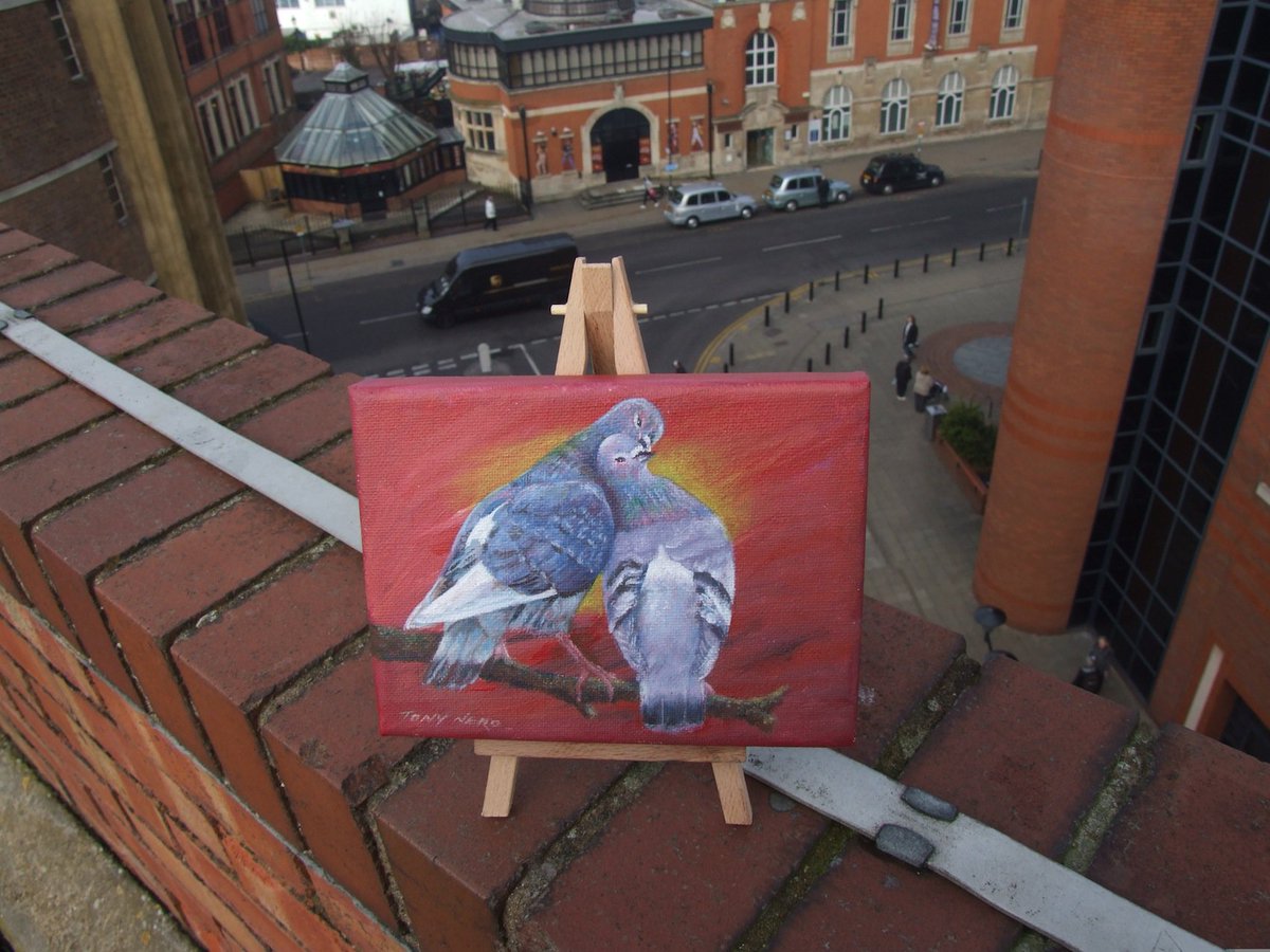 ArtofTonyNero's tweet photo. Got reminded last night by #PigeonLaRue about these 2 #lovebirds I did, a few years ago for our #FreeArt event #FindMeKeepMe #Peterborough #pigeons #birds #painting #oils https://t.co/GrbIrBli2h