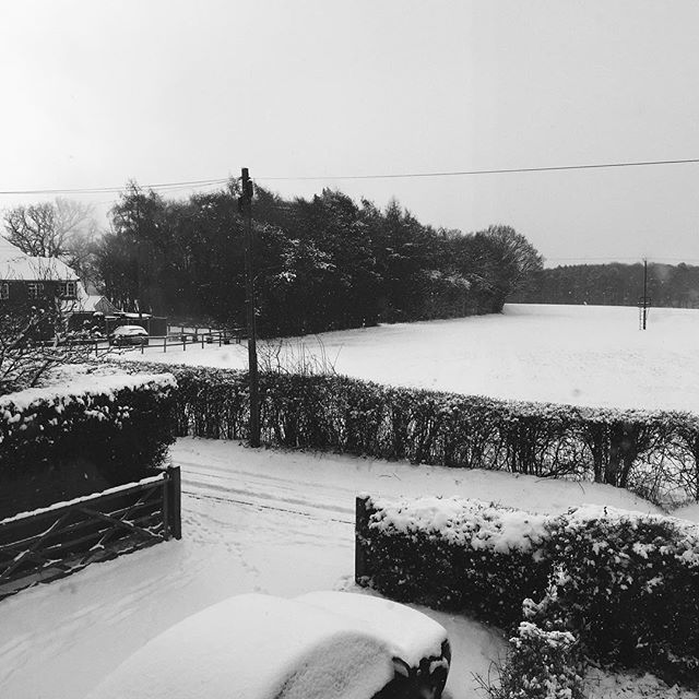 blamelifeuk's tweet photo. Safe to say I’m not going anywhere anytime soon ⛄️ https://t.co/5L0O4o9Zdh https://t.co/nEwgAqeulA