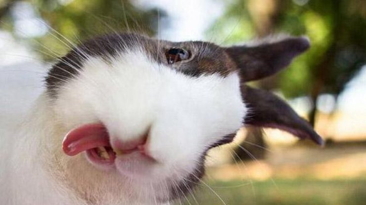 Smart_ItSupport's tweet image. 