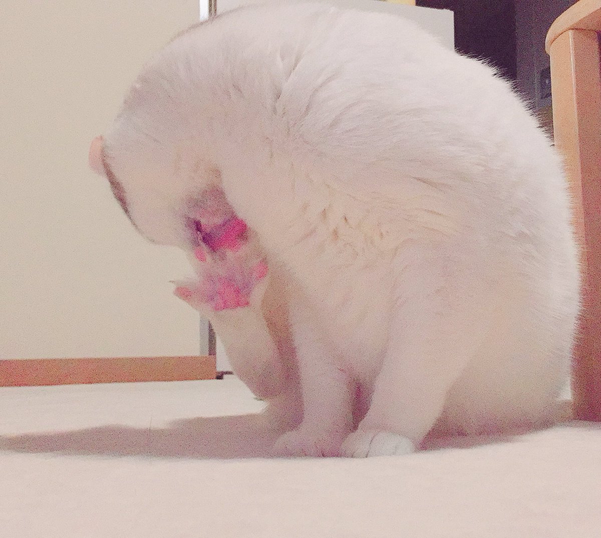 足をぱぁー！！