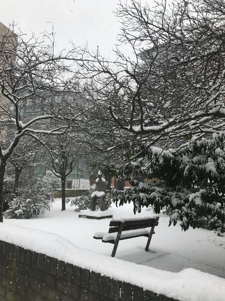 CitynIslington's tweet photo. Due to the heavy snow, we're closing all our sites this afternoon (Wed 28 Feb).  Lessons are cancelled and there will be no classes this evening. Check our website or Twitter tomorrow morning to see if your site is opening. And please stay safe, whatever your journey ❄️ https://t.co/3baEffp6lG
