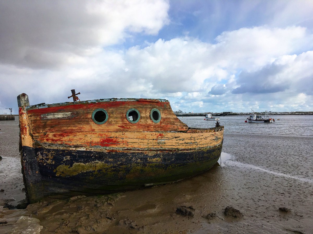 WildlifeGadgets's tweet photo. Wrecked.
#suffolk #backsuffolk #lovesuffolk #orford https://t.co/5hFJrQZLtR