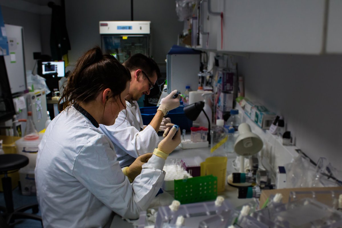 <a href="/JillyJohnson25/">Jilly Johnson</a> and <a href="/MathewRiff/">Mathieu R</a>  working hard in @hoeyd83 lab prepping samples for flow cytometry.
#loadinginducedboneformation
#osteogenesis
#stormemma
#nobelprize