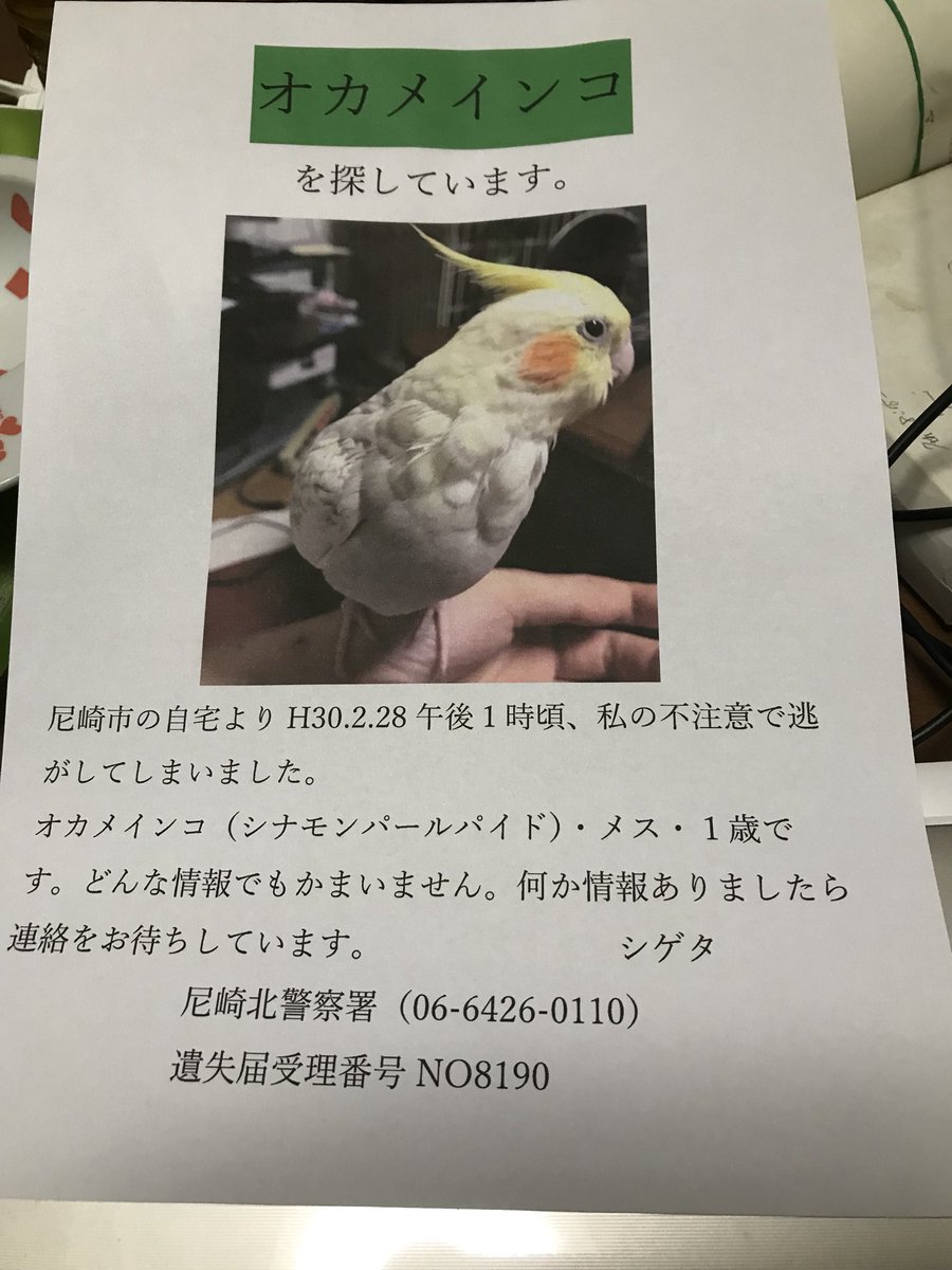 悲しんでばかりいられない！よろしくお願いします！