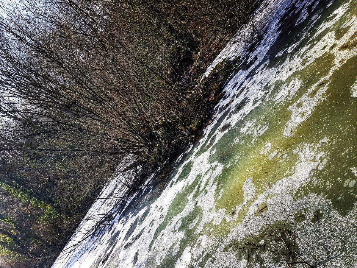 Howardian Nature Reserve. #Randompicture #Random #Cardiff #mycity #citylife #SamsungS8 #sunnyday #picture #cold #nature #southwales #Wales❤️ #visitwales #VisitCardiff #bluesky #welcome2cardiff #lake #FrozenLake #beautiful #beautifulday🌞